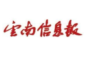 云南信息报登报挂失流程