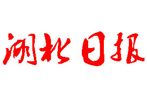 湖北日报登报公告_湖北日报刊登公告