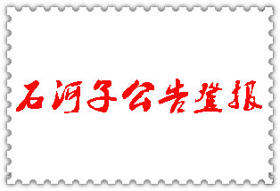 石河子公告登报_石河子登报公告