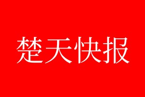 楚天快报登报电话_楚天快报登报电话多少