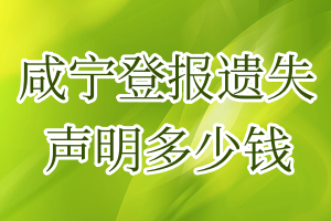 咸宁登报遗失声明多少钱
