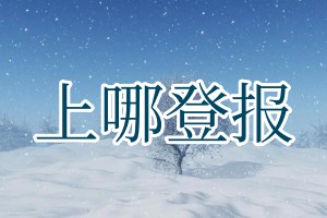 上哪登报