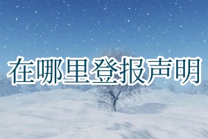 在哪里登报声明