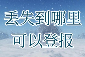 丢失到哪里可以登报