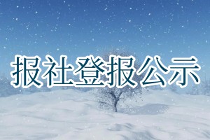 报社登报公示
