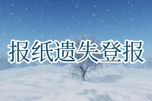 报纸遗失登报
