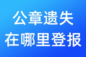 公章遗失在哪里登报