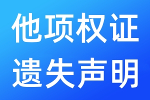 他项权证遗失声明